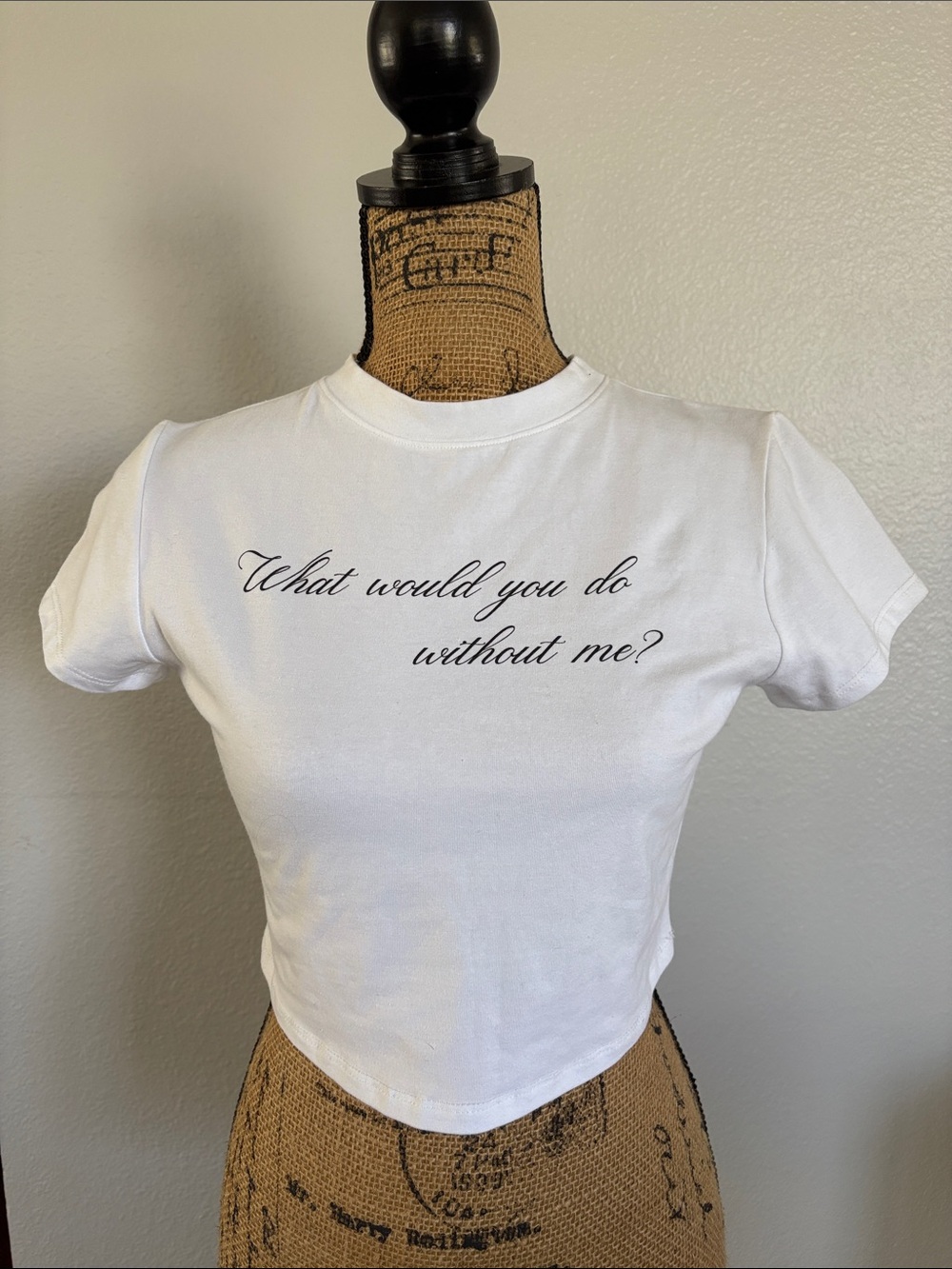 NWT Windsor White Crop Tee with Script
